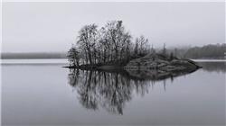 Toyota Tundra Crewmax Limited, Flatbed Trucks, Trucks and Trailers