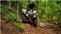 Yamaha YFM700 GRIZZLY EPS ALU SPECIAL EDITION, ATVs, Agriculture