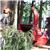 CUSHMAN SHUTTLE 4G, Wood Chippers, Forestry Equipment
